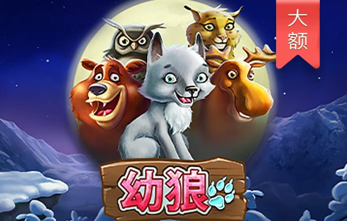中欧体育kok官网入口