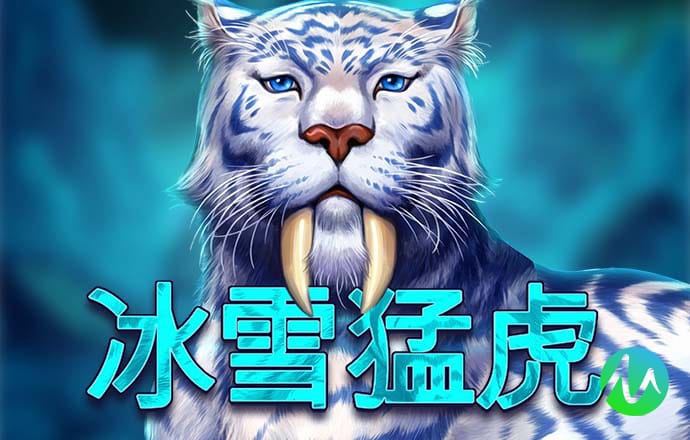66668银河国际
